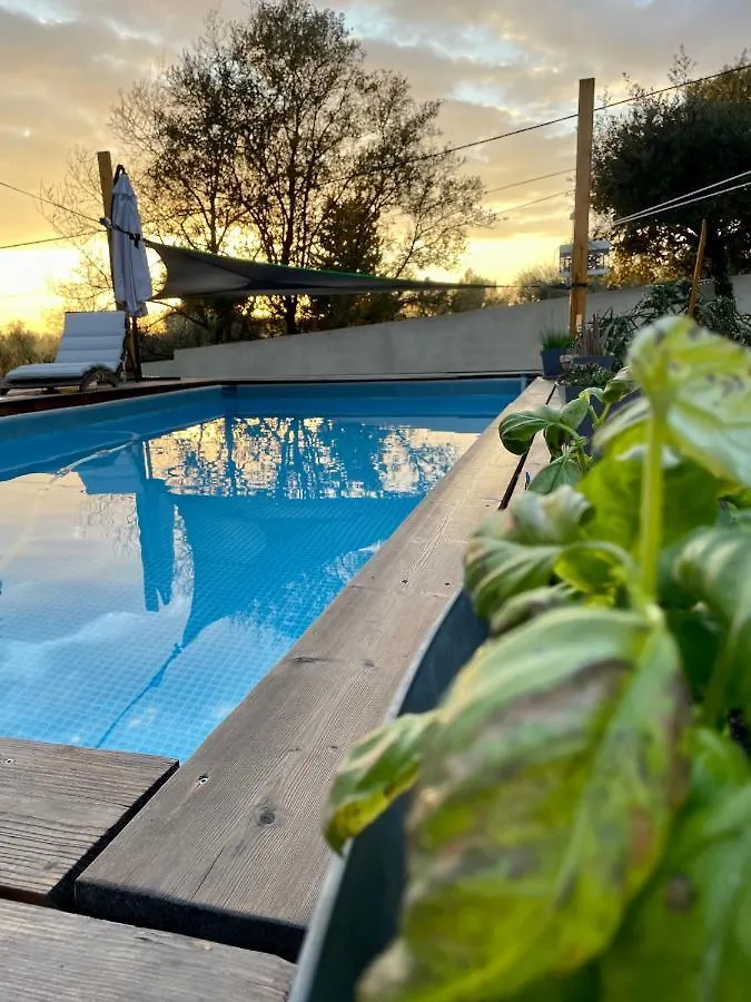 Villa 6 Personnes /Piscine/Campagne/Terrain De Petanque/15 Km Bandol Le Beausset